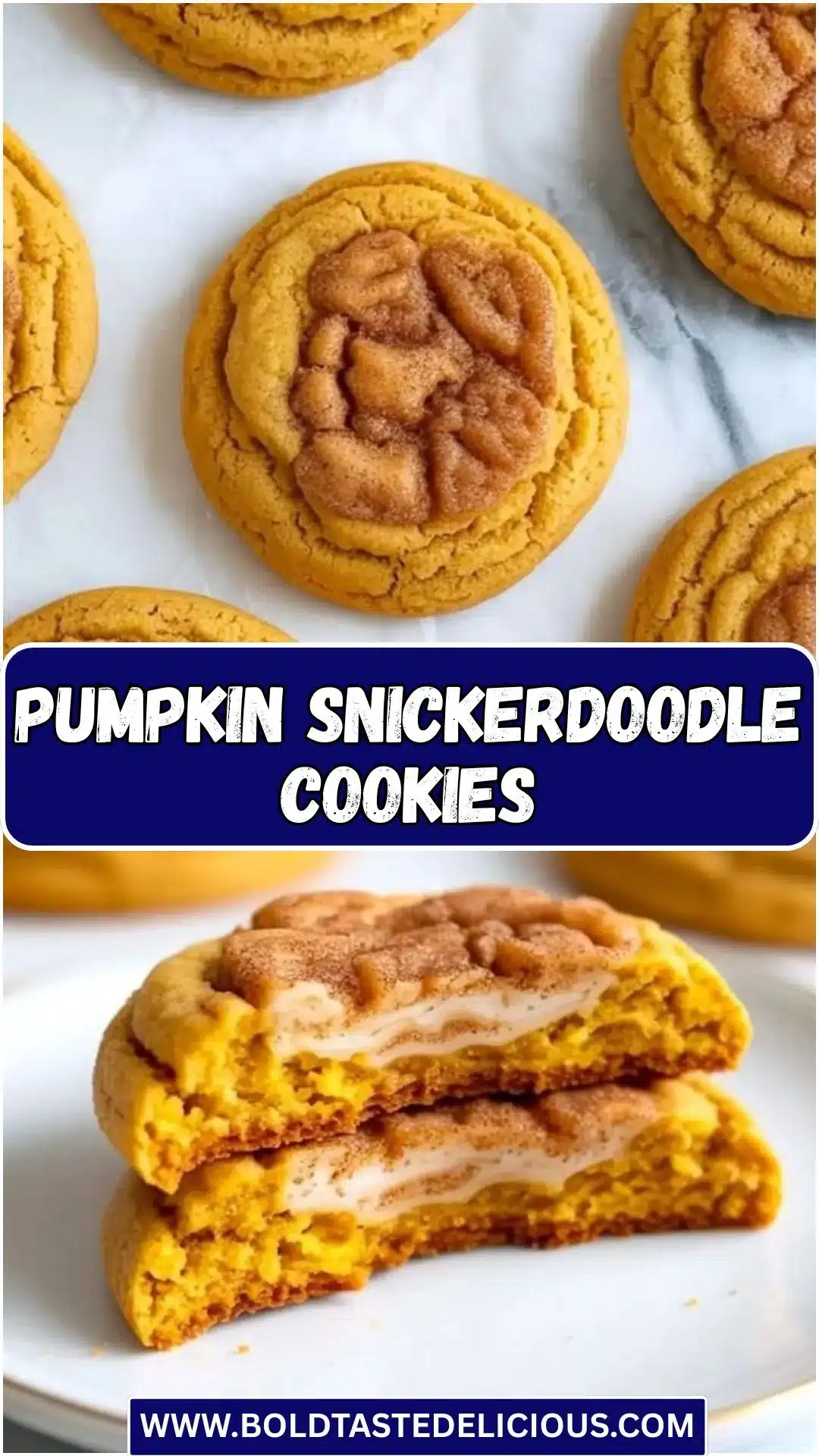 Decorated Halloween sugar cookies with spooky designs and colorful icing