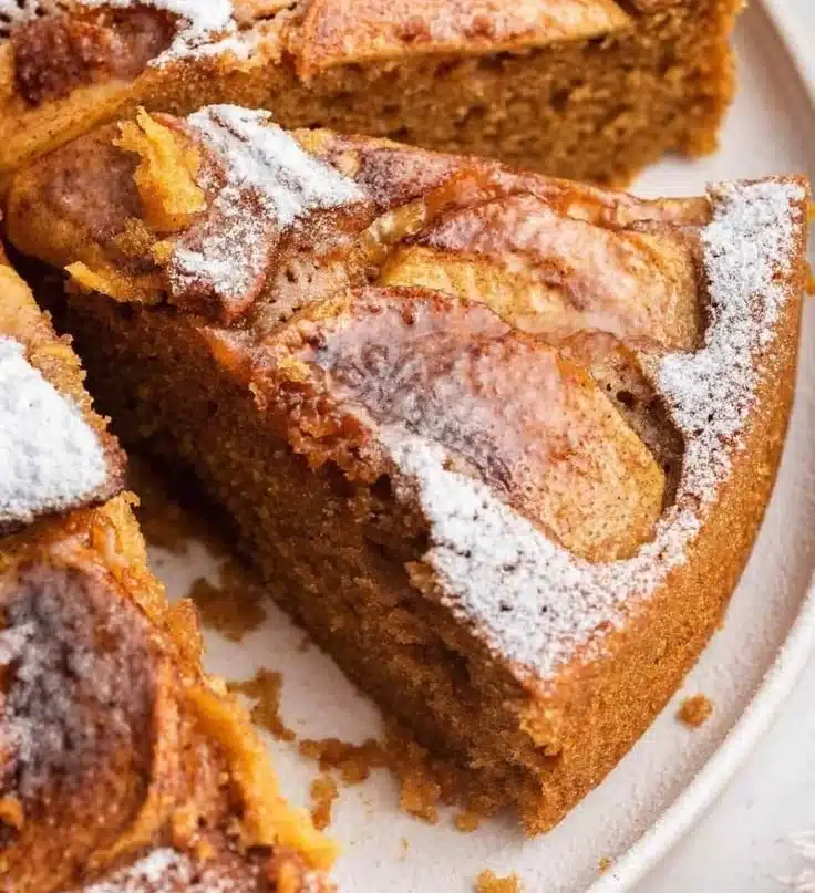 Delicious slice of German Apple Cake topped with fresh apples and cinnamon
