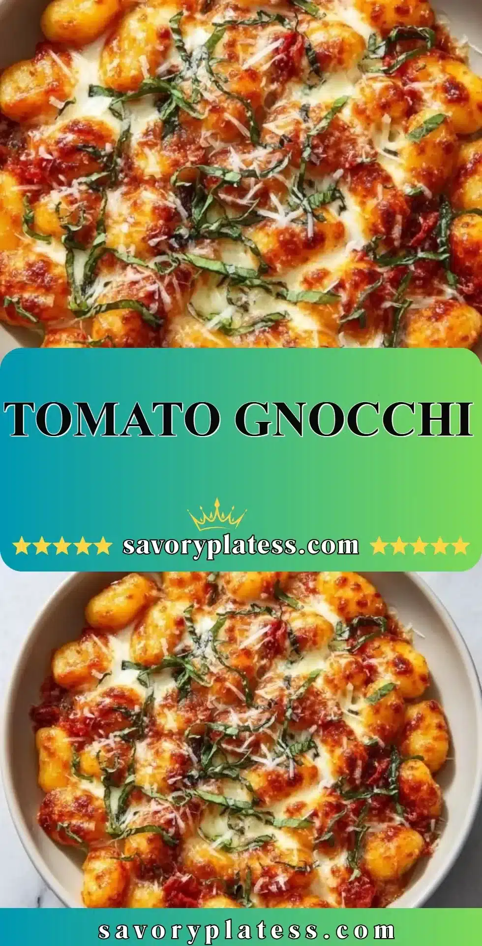 Tomato Gnocchi 2 Plate of delicious homemade Tomato Gnocchi served with fresh basil and parmesan