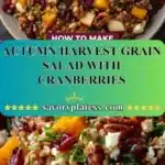 autumn harvest grain salad with cranberries 2026 01 03 192606 523x1024 1