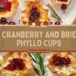 Cranberry and Brie Baked Phyllo Cups 3 cranberry and brie baked phyllo cups 2026 01 21 192817 512x1024 1