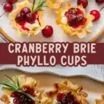 cranberry and brie baked phyllo cups 2026 01 21 192819 512x1024 1