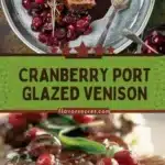 cranberry port glazed venison 2026 01 21 192841 512x1024 1