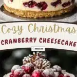 Decadent Christmas Cheesecake with Cranberry Mousse Magic 3 decadent christmas cheesecake with cranberry mouss 2026 01 21 192914 1