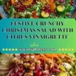 Festive Crunchy Christmas Salad with Citrus Vinaigrette 3 festive crunchy christmas salad with citrus vinaig 2026 01 03 192715 523x1024 1
