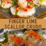 finger lime and scallop crudo 2026 01 21 192846 512x1024 1