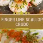 Finger Lime & Scallop Crudo 3 finger lime scallop crudo 2026 01 21 192900 1