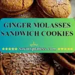 Ginger Molasses Sandwich Cookies 3 ginger molasses sandwich cookies 2026 01 03 192710 523x1024 1