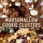 holiday marshmallow cookie clusters 2026 01 21 192803 512x1024 1
