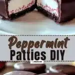 Homemade Peppermint Patties That Melt in Your Mouth 3 homemade peppermint patties that melt in your mout 2026 01 21 192912 1