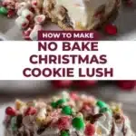 no bake christmas cookie lush 2026 01 21 192752 512x1024 1