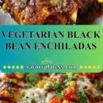 vegetarian black bean enchiladas 2026 01 03 192712 523x1024 1